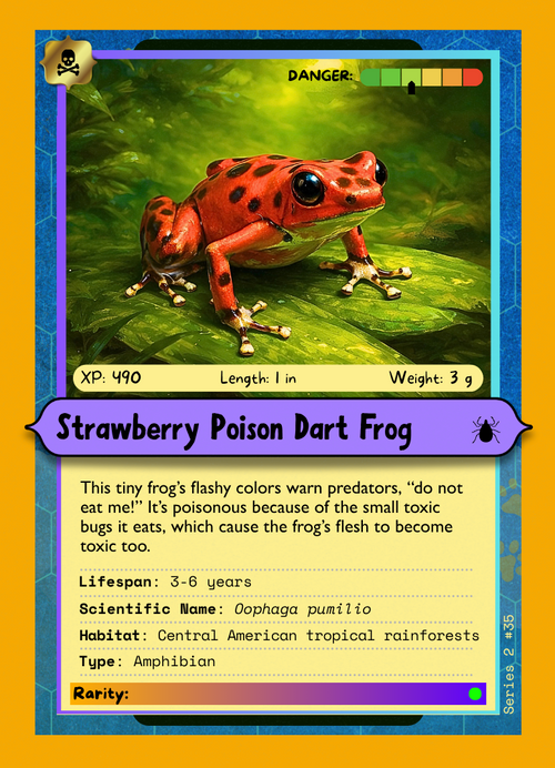 Creature Card