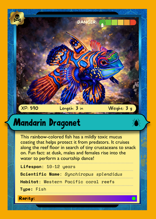 Creature Card