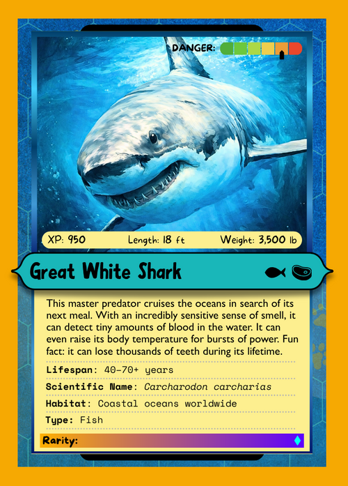Creature Card