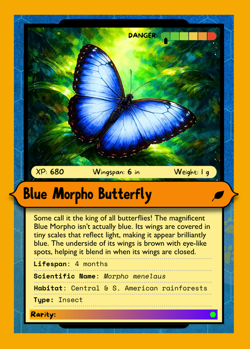 Creature Card