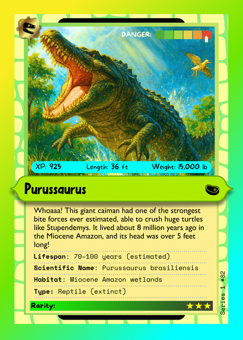 Creature Card