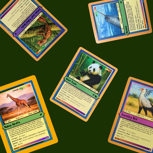 Creature Cards