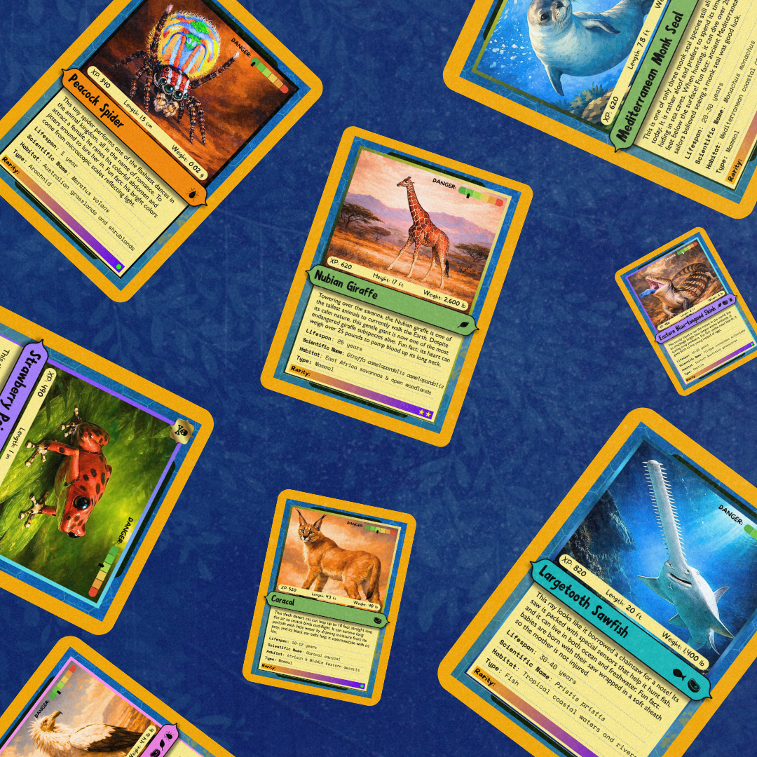 Creature Cards