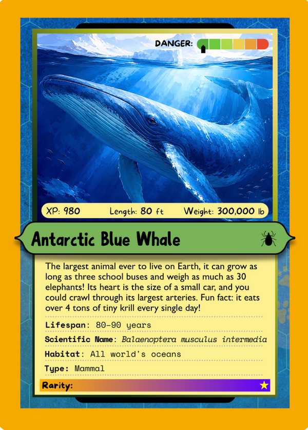 Series 2 card