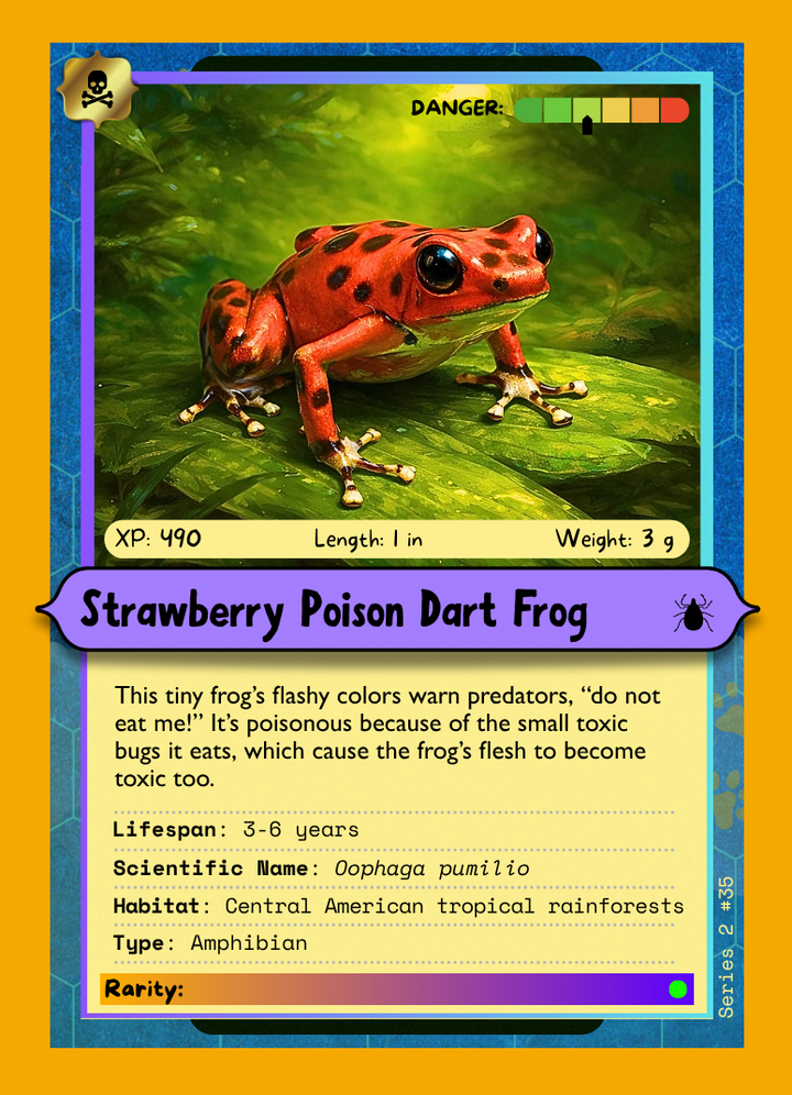 Creature card