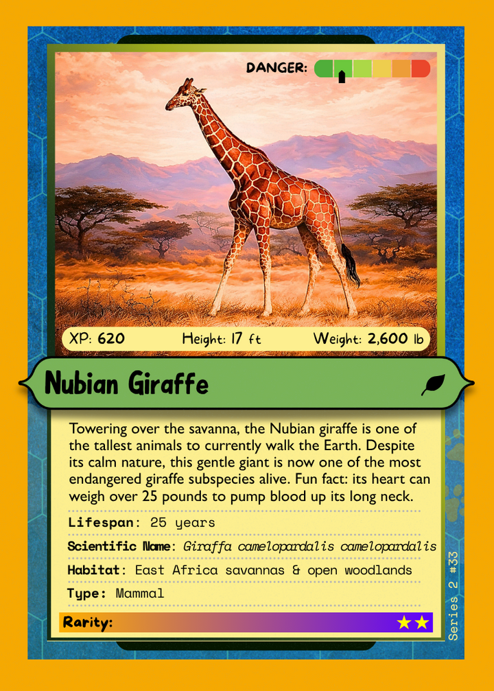 Creature card