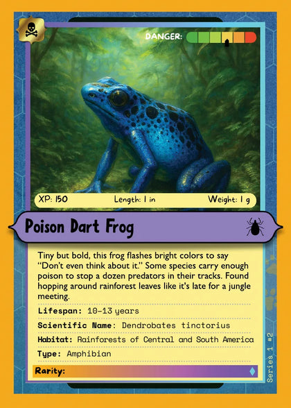 Poison Dart Frog