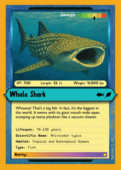 Whale Shark
