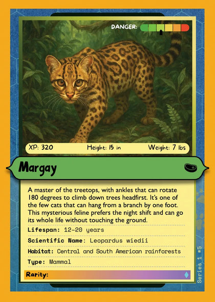 Margay