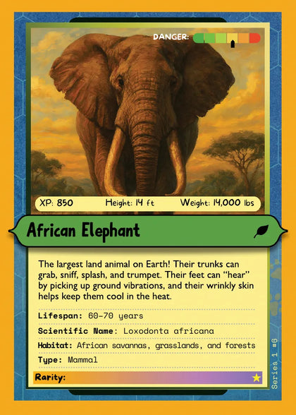 African Elephant