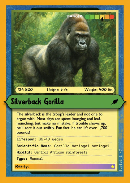 Silverback Gorilla