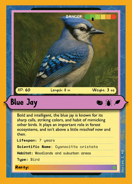 Blue Jay