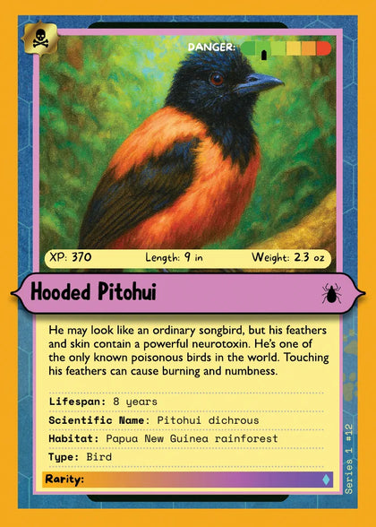 Hooded Pitohui