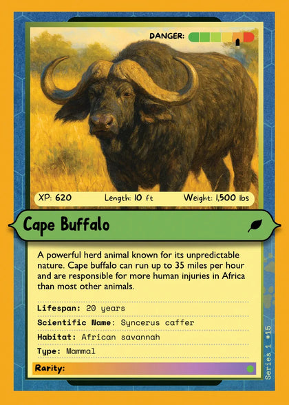 Cape Buffalo