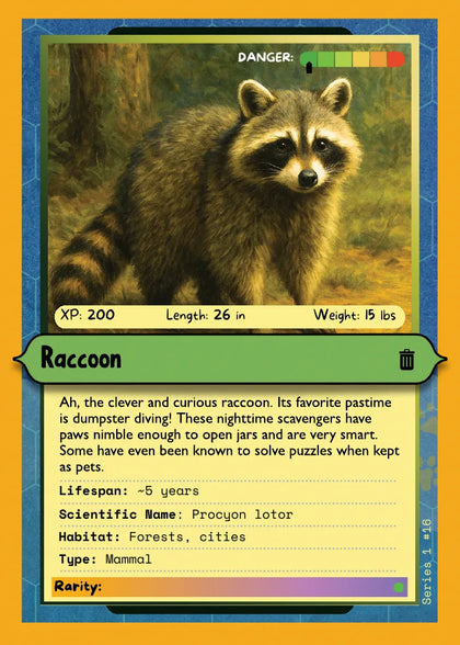 Raccoon