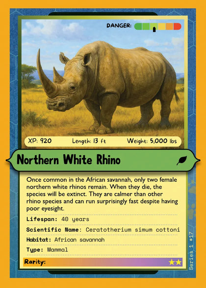 Northern White Rhino