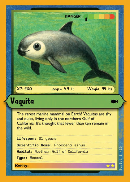 Vaquita