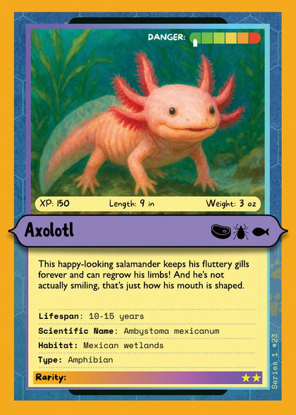 Axolotl