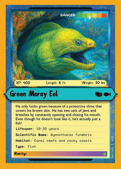 Green Moray Eel