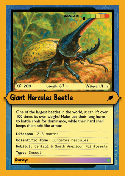 Giant Hercules Beetle