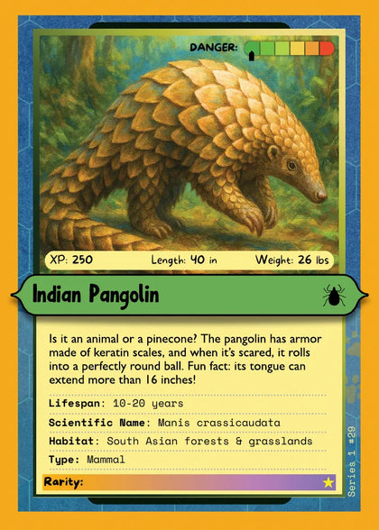 Indian Pangolin