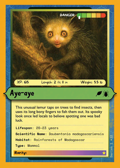Aye-aye