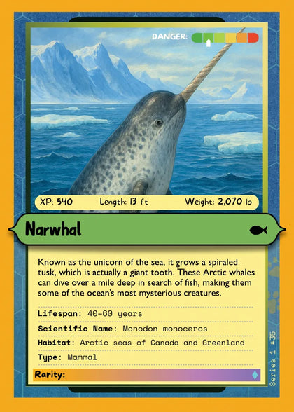 Narwhal