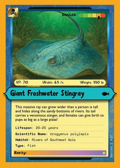 Giant Freshwater Stingray