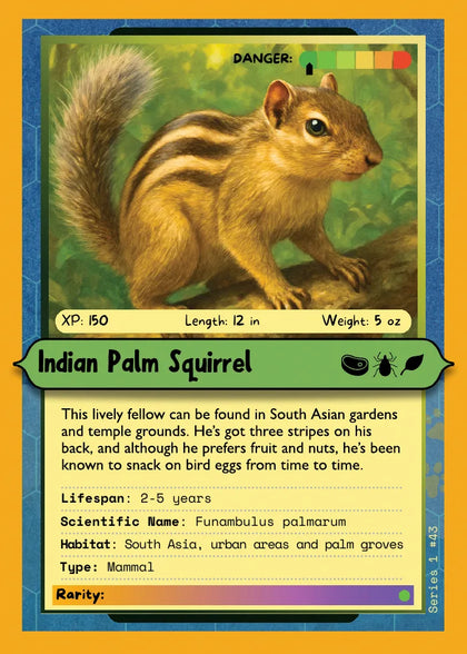 Indian Palm Squirrel