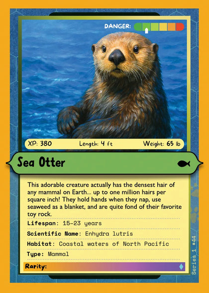 Sea Otter