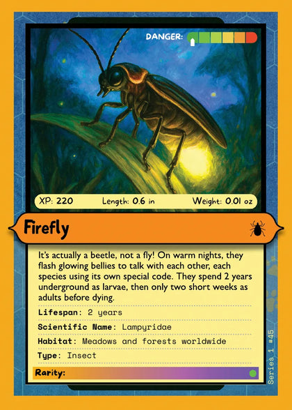 Firefly