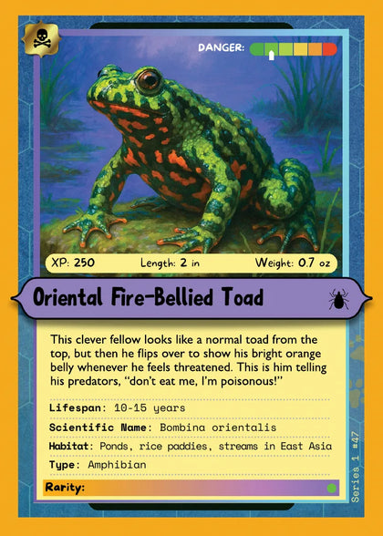 Oriental Fire-Bellied Toad