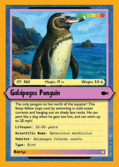 Galápagos Penguin