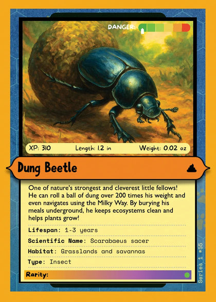 Dung Beetle