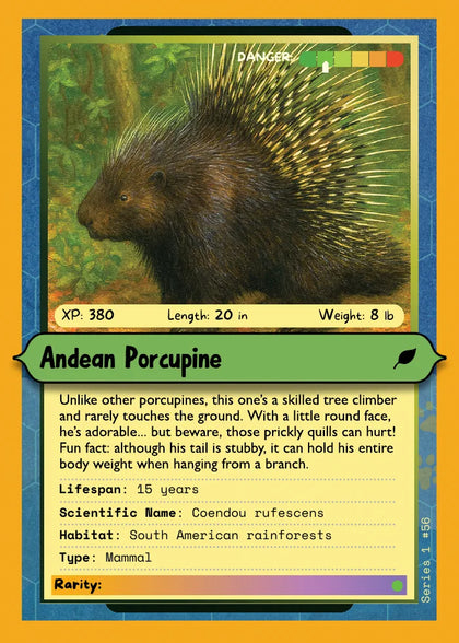Andean Porcupine
