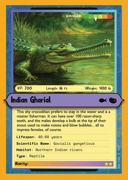 Indian Gharial