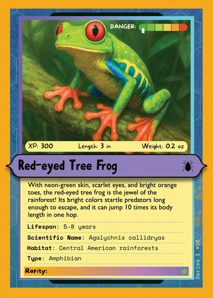 Red-eyed Tree Frog