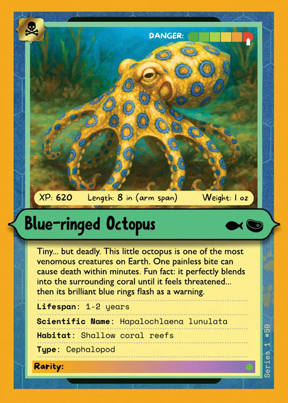 Blue-ringed Octopus