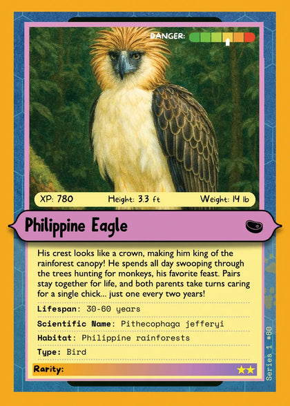 Philippine Eagle