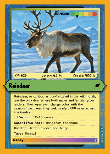 Reindeer