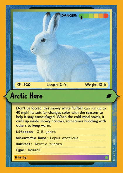 Arctic Hare