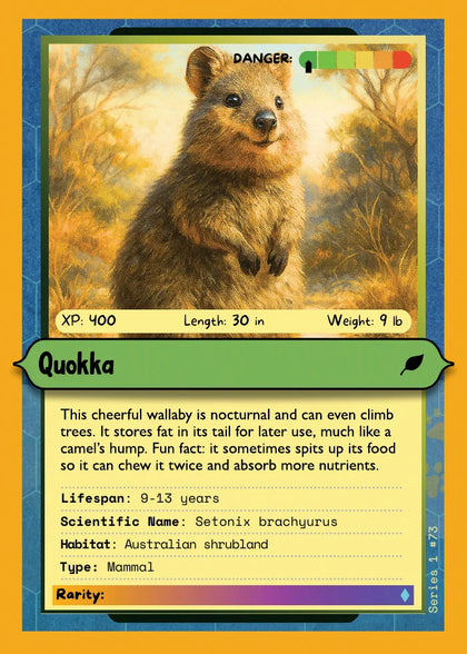 Quokka