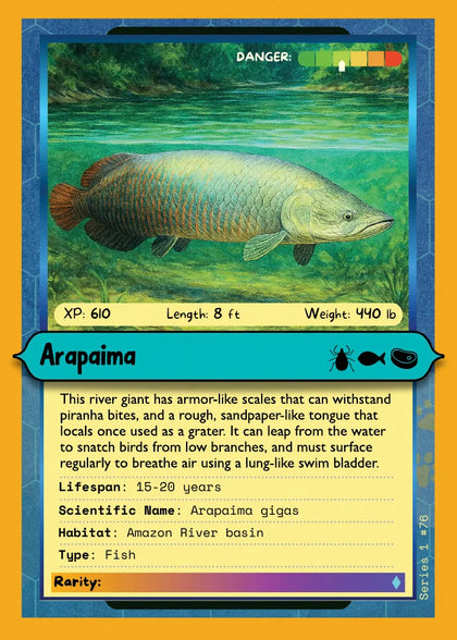 Arapaima