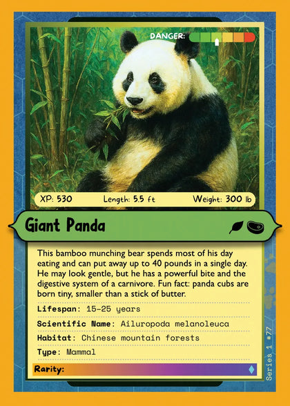 Giant Panda