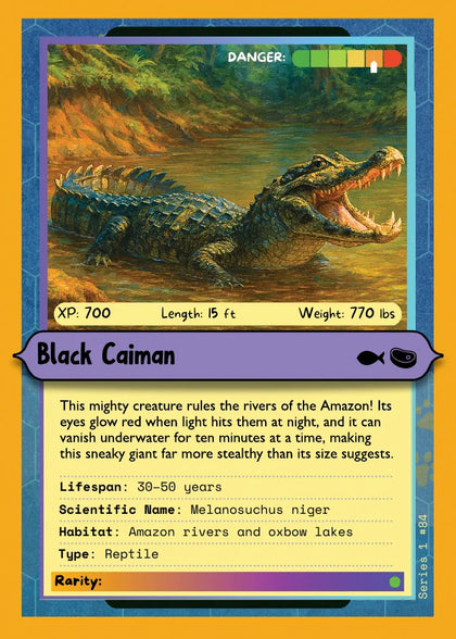 Black Caiman