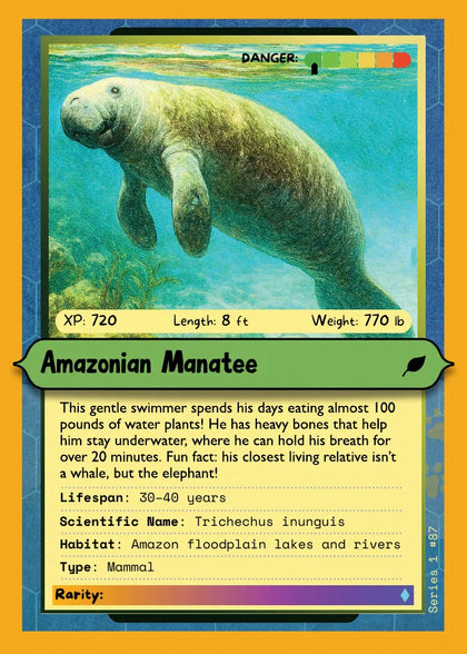 Amazonian Manatee