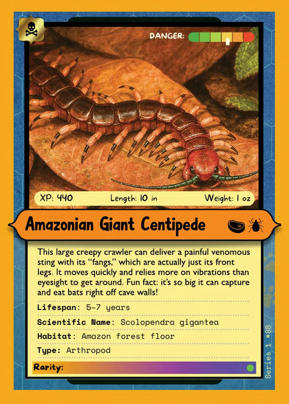Amazonian Giant Centipede