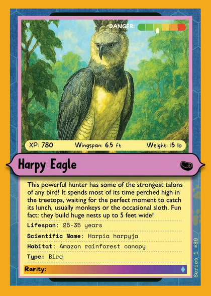 Harpy Eagle