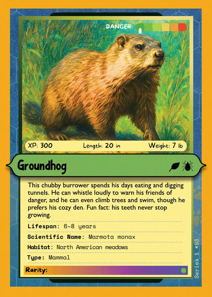 Groundhog