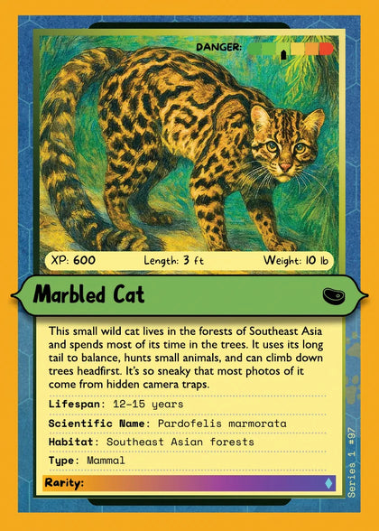 Marbled Cat